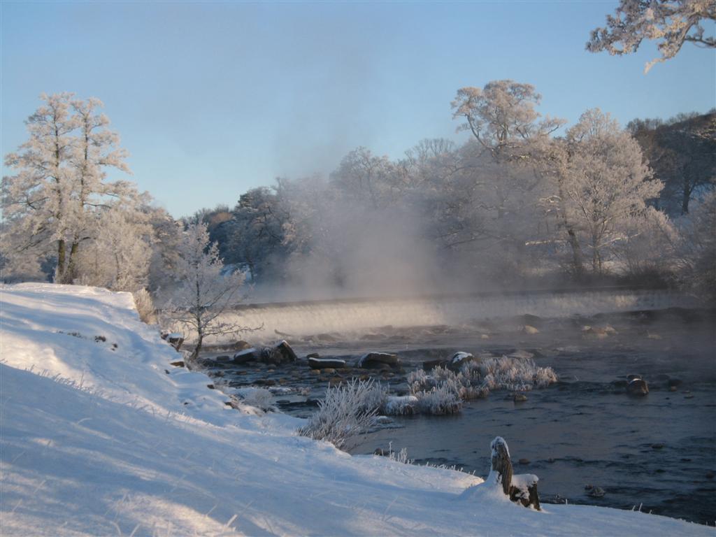 Winter 2010; A Celebration.